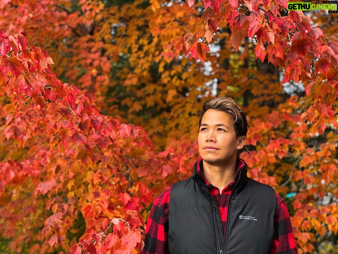 Shannon Kook Instagram - 🍂 Whisler, B.C Canada
