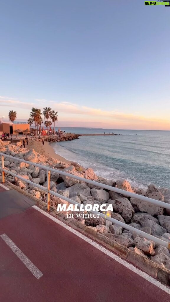 Sharon Battiste Instagram - Mallorca im Winter … eine absolute Empfehlung ✨🌞 Wir hatten wunderbare Tage und ein traumhaftes Silvester. 🍾🍀✨ 2024 wird wunderbar und zwar für uns alle 🍀💛 . . . . . #mallorca #mallorcawinter #sonnegenießen #coupletrip #fahrradtouren #meeresrauschen #sunsetloversgram