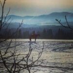 Shaun Johnston Instagram – Lonely Cowboy. Heartland wrangler Bo Sherman protecting the range. Sj #sjpics #hlinprod