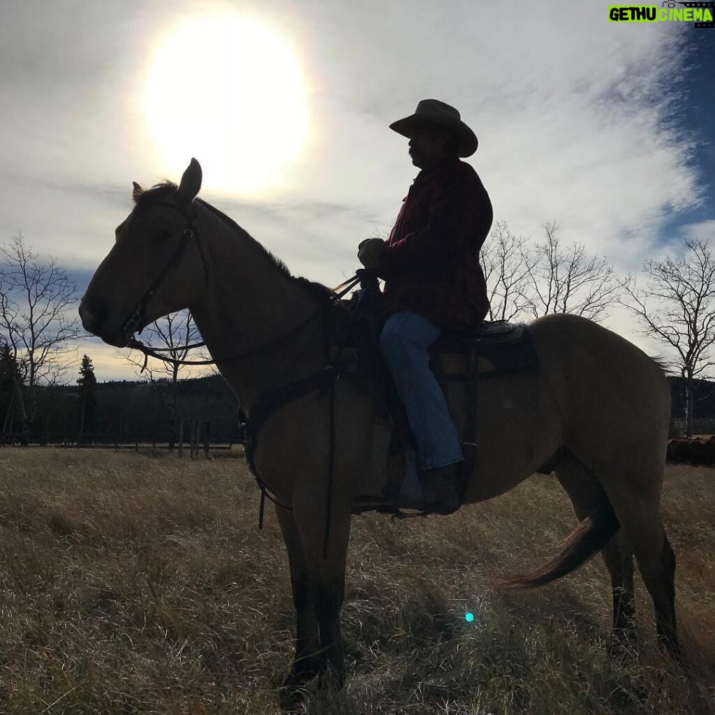 Shaun Johnston Instagram - Jack ‘n’ Buddy. Our fab director Alison Reid took this one. Another swell day on Heartland. Sj #hlinprod