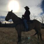 Shaun Johnston Instagram - Jack ‘n’ Buddy. Our fab director Alison Reid took this one. Another swell day on Heartland. Sj #hlinprod