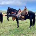 Shaun Johnston Instagram - Amber’s version of ‘side saddle’. Sj #hlinprod #official_heartlandoncbc