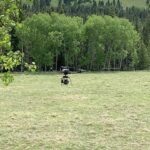 Shaun Johnston Instagram - My very first shot of the new season…. Jack looking over a few of his cattle in the foothills of the Mighty Rocky Mountains. I’ll take it! Sj. @official_heartlandoncbc #hlinprod