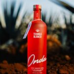 Shay Mitchell Instagram – No better way to celebrate our incredible team @beis our new office HQ and the launch of @drinkonda ‘s new tequila than with a party 

Thank you to everyone who made this all happen 🤠