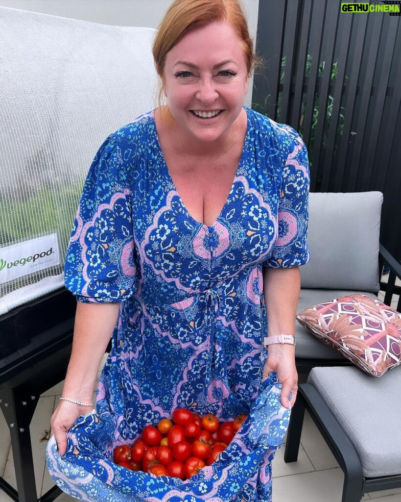 Shelly Horton Instagram - 🍅 While I was away all of my tomatoes decided to ripen at once. A harvest of 49! Times to make some deliveries to family and friends! 🍅 🍅 Gold Coast, Queensland