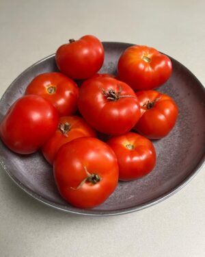 Shelly Horton Instagram - 🍅 While I was away all of my tomatoes decided to ripen at once.

A harvest of 49! 

Times to make some deliveries to family and friends! 🍅 🍅