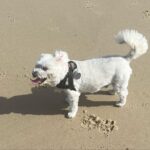 Shelly Horton Instagram - Thank you to everyone who reached out and gave advice, shared their stories and offered hugs about my bloody peri. I worked all day and took the kids to the beach. Good news is the Tranexqmic Acid tablets are working. Hopefully they will give me relief until I see my gyno on Dec 12. Sometimes the internet can make you feel less alone and loved. Thanks ♥️