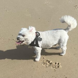 Shelly Horton Instagram - Thank you to everyone who reached out and gave advice, shared their stories and offered hugs about my bloody peri.

I worked all day and took the kids to the beach. Good news is the Tranexqmic Acid tablets are working. Hopefully they will give me relief until I see my gyno on Dec 12.

Sometimes the internet can make you feel less alone and loved.

Thanks ♥️