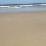 Shelly Horton Instagram - Thank you to everyone who reached out and gave advice, shared their stories and offered hugs about my bloody peri. I worked all day and took the kids to the beach. Good news is the Tranexqmic Acid tablets are working. Hopefully they will give me relief until I see my gyno on Dec 12. Sometimes the internet can make you feel less alone and loved. Thanks ♥️