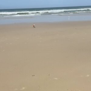 Shelly Horton Instagram - Thank you to everyone who reached out and gave advice, shared their stories and offered hugs about my bloody peri.

I worked all day and took the kids to the beach. Good news is the Tranexqmic Acid tablets are working. Hopefully they will give me relief until I see my gyno on Dec 12.

Sometimes the internet can make you feel less alone and loved.

Thanks ♥️