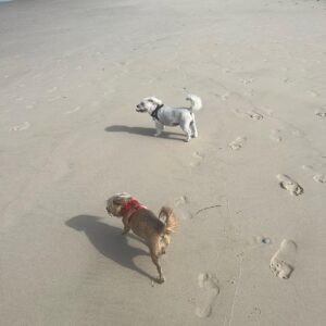 Shelly Horton Instagram - Thank you to everyone who reached out and gave advice, shared their stories and offered hugs about my bloody peri.

I worked all day and took the kids to the beach. Good news is the Tranexqmic Acid tablets are working. Hopefully they will give me relief until I see my gyno on Dec 12.

Sometimes the internet can make you feel less alone and loved.

Thanks ♥️