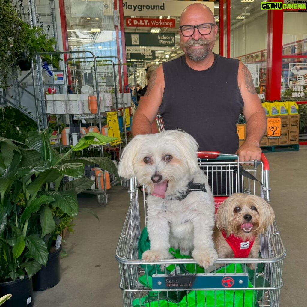 Shelly Horton Instagram - Happy family outing to Bunnings. Right after this Mr Barkley leapt off to get closer to me smashing his body into the concrete and Maui decided to follow with a backflip out of the trolley and broke a plant. They won’t be invited again 🤦‍♀️🤦‍♀️ Neither were harmed. But we felt like failures as parents!