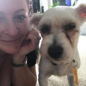 Shelly Horton Instagram - It’s Mr Barkley’s seventh Gotcha Day! 

We adopted him in 2017 from @monikadogrescue after he had been found on the streets. He was so skinny and miserable.

Let’s just say we loved him and fed him to the happy chubby 13 year old he is today.

He really is part human swipe to see the video of him saying “Nooooo” to walkies! 

We love you so much Mr Barkley! 

#adoptdontshop #rescuedismyfavoritebreed