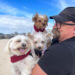 Shelly Horton Instagram - It’s Mr Barkley’s seventh Gotcha Day! We adopted him in 2017 from @monikadogrescue after he had been found on the streets. He was so skinny and miserable. Let’s just say we loved him and fed him to the happy chubby 13 year old he is today. He really is part human swipe to see the video of him saying “Nooooo” to walkies! We love you so much Mr Barkley! #adoptdontshop #rescuedismyfavoritebreed