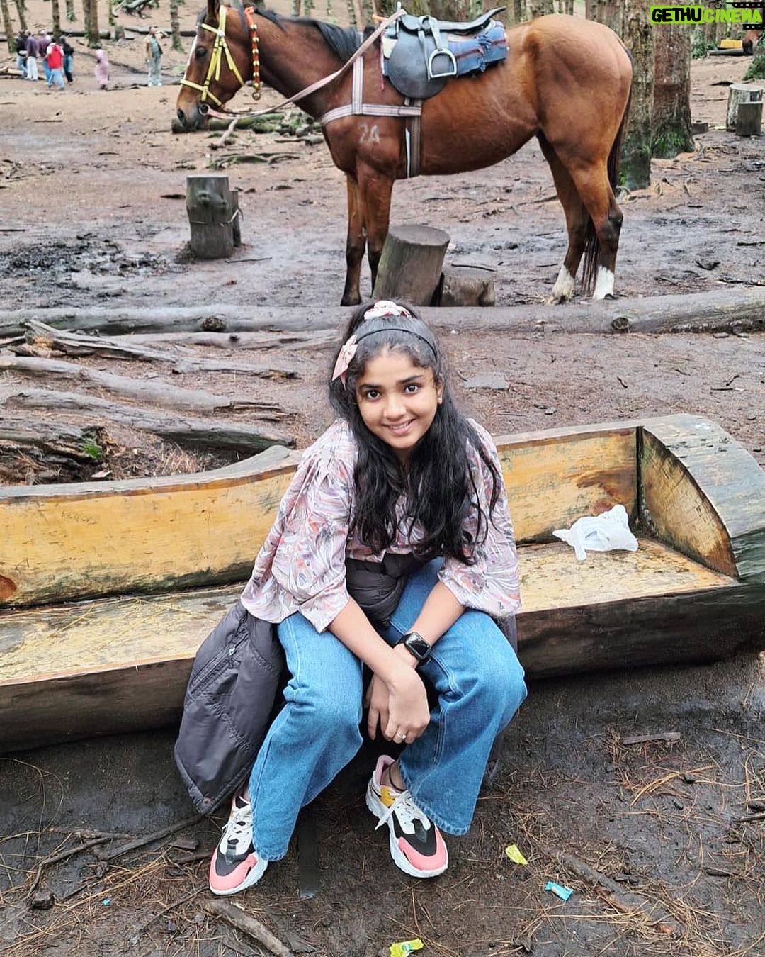 Sherin Thara Instagram - Happy children’s day ❤️ Babysherin #babymayu #mayu #baakyalakshmi #vijaytelevision #vijaytv #instadaily #instapost #instagram #picoftheday #nature #instagood #photography #childrens #happy #fun #love #insta #likes #follow #childrensday