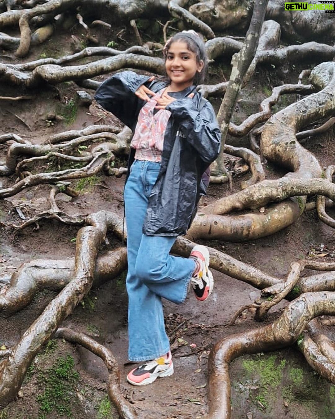 Sherin Thara Instagram - Happy children’s day ❤️ Babysherin #babymayu #mayu #baakyalakshmi #vijaytelevision #vijaytv #instadaily #instapost #instagram #picoftheday #nature #instagood #photography #childrens #happy #fun #love #insta #likes #follow #childrensday