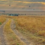 Shirley Setia Instagram - Cute lioness & lion 🦁🥺 @lokisylviethor ki yaad aa gayi 🥹 #shirleytravels #masaimara #masaimaranationalpark #kenya #africa #travel Masai Mara National Reserve