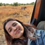 Shirley Setia Instagram - Cute lioness & lion 🦁🥺 @lokisylviethor ki yaad aa gayi 🥹 #shirleytravels #masaimara #masaimaranationalpark #kenya #africa #travel Masai Mara National Reserve