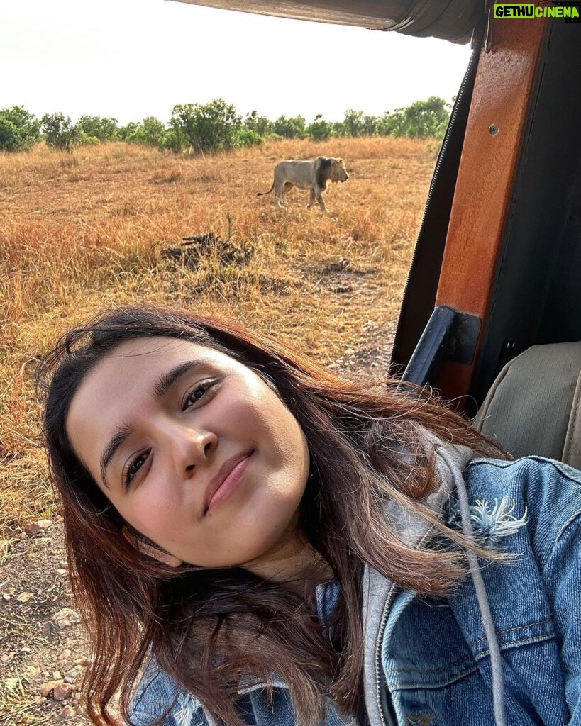 Shirley Setia Instagram - Cute lioness & lion 🦁🥺 @lokisylviethor ki yaad aa gayi 🥹 #shirleytravels #masaimara #masaimaranationalpark #kenya #africa #travel Masai Mara National Reserve