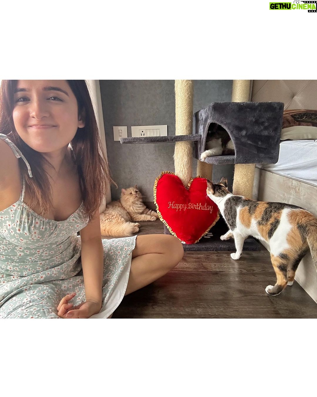 Shirley Setia Instagram - Birthday kuch aisa rahaaa tha iss baar. Thank youuu for all your wishes and love!! Can never thank you all enough for being a part of my life. π€π€β₯οΈβ₯οΈ Soooo so excited for the next few months ahead π©΅π΅π§ aaap sab ho na mere saath? βΊοΈπ€