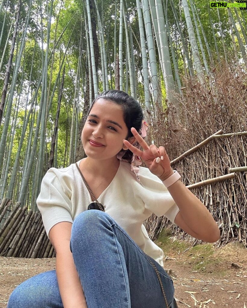 Shirley Setia Instagram - Chubby 🐰🙈 #arashiyama #bamboogrove #shirleytravels #kyoto #japan #travel #shirleysetia Arashiyama Bamboo Grove