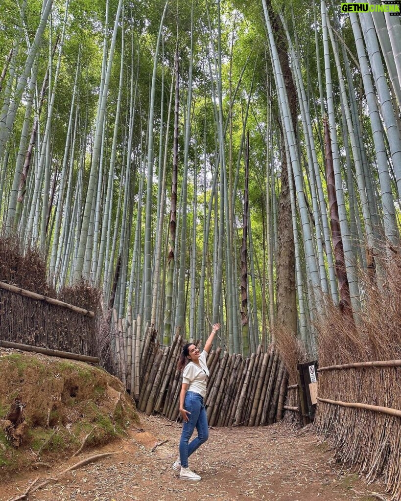 Shirley Setia Instagram - Chubby 🐰🙈 #arashiyama #bamboogrove #shirleytravels #kyoto #japan #travel #shirleysetia Arashiyama Bamboo Grove