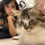 Shirley Setia Instagram - My babies @lokisylviethor 🤍 #nationalpetday 🐱