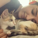 Shirley Setia Instagram - My babies @lokisylviethor 🤍 #nationalpetday 🐱