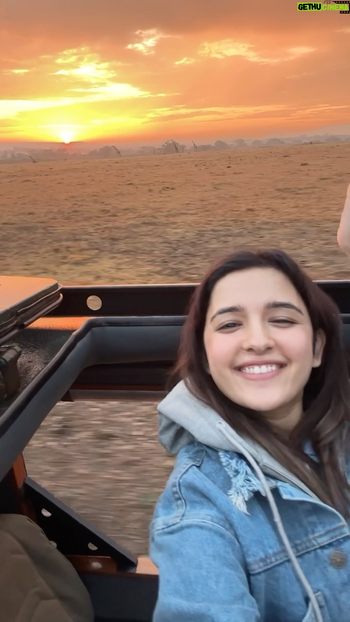 Shirley Setia Instagram - Simba ko sardi ho gayi π¦π Hope he gets well soon π«Άπ»π«Άπ» The Lion King is probably one of the films I have watched the most all throughout my childhood, and even noww (I watch it with Sylvie now @lokisylviethor) It was the most surreal experience to witness Lions, Lionesses & their cubs all so happy in their home! Simply Beautiful π₯Ήπ§‘ P.S. also this was such a beautiful sunrisee!! Hai na? #MasaiMara #masaimaranationalpark #shirleysetia #shirleytravels #kenya #africa #trending #trendingreels #feelitreelit #thelionking #circleoflife Masai Mara, Kenya
