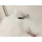 Shoko Nakagawa Instagram - しようこを探せ‼️ YouTubeもみてね❣️ #泡風呂 #風呂 #bathroom #youtube #中川翔子 #しょこたん