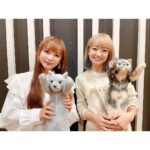 Shoko Nakagawa Instagram - 10/5(木)よりニッポン放送にて 『中川翔子 アニメサークル』 の放送開始になります❣️ 様々な声優さんをゲストに招いてトークを繰り広げます✋ 初回ゲストは #大橋彩香 さん 毎週木曜20:40から‼️ ぜひ聴いてください😊 #ラジオ #アニメ #ゲーム #声優 #anime #game #中川翔子 #しょこたん