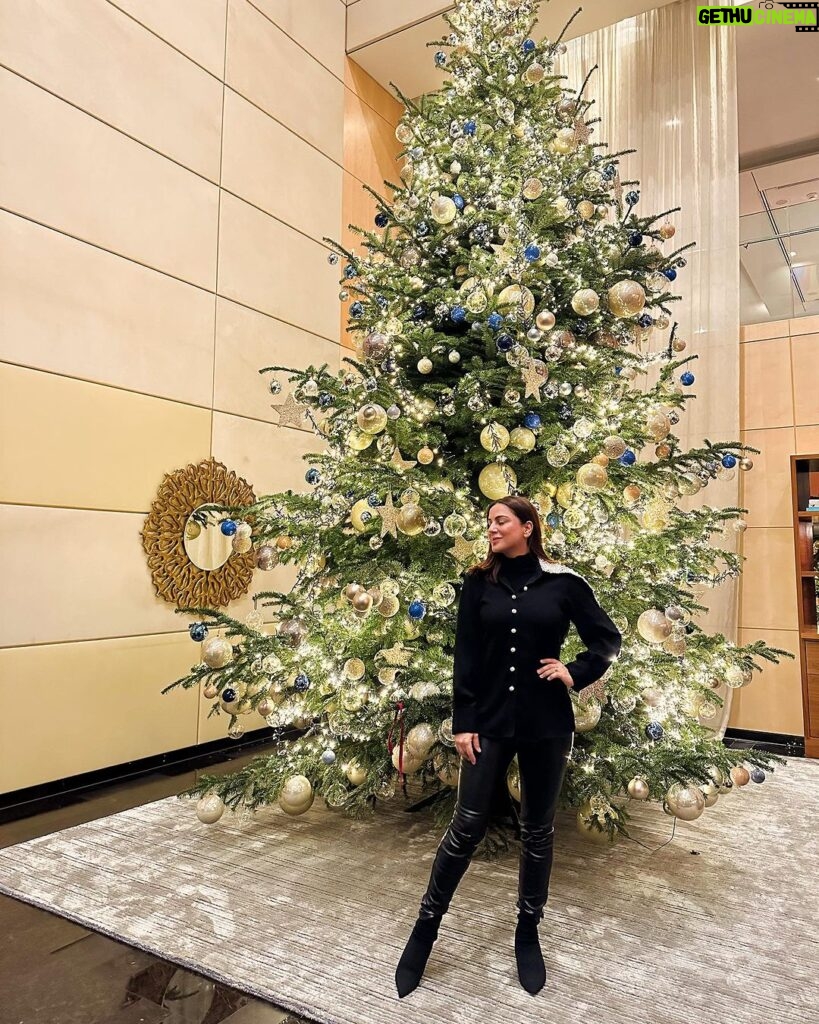 Shraddha Arya Instagram - A picture of me standing in front of the most beautifully decorated Christmas tree! ❤🎄 Merry Christmas Everyone!!! #Zurich #Switzerland @monylal04 Park Hyatt Zürich