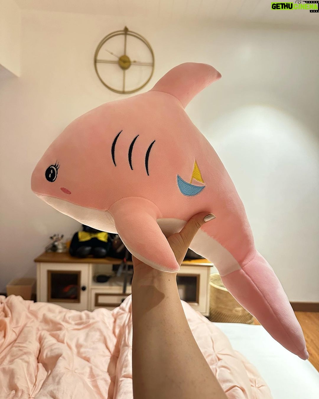 Shraddha Arya Instagram - Happy Birthday To Me! ❤️ 🐬 Sneak peek into what Birthdays look like after a certain age 🤣😂 Birthday Vibes in the comfort of my own space and People 🥰 #BirthdayGirl