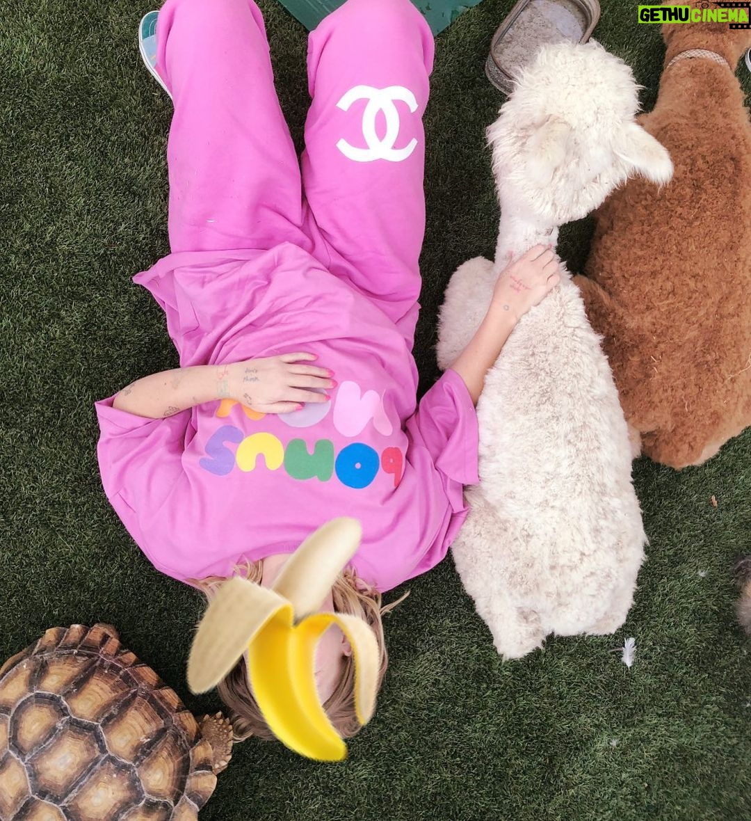Sia Instagram - happy birthday @maddieziegler from cupcake, whisper, and sia and fable all from @littlehorseontheprairie ❤️