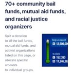 Sia Instagram - Who wants to match my $100,000 donation?! Please reshare! Send pics of your donation and I’ll reshare! Link in bio! #blacklivesmatter #bailfund