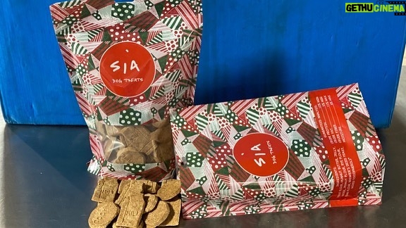 Sia Instagram - Adopt, don't shop if you're thinking about getting a pup this holiday season! 🐶🎅 Then, surprise your new furry friend with peanut butter & jelly dog treats, available now on shop.siamusic.net 💕💕 - Team Sia