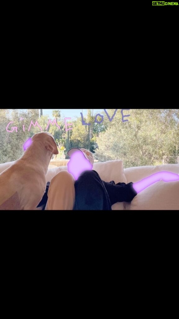 Sia Instagram - Spreading the love all day, every day ❤️ “Gimme Love” is out everywhere today + watch the lyric video to go along with it on youtube.com/sia No ifs, and or bows about it 🎀 Sia’s new album ‘Reasonable Woman’ is out everywhere this spring! The webstore pre-order is now live - grab the exclusive orange vinyl (limited to 500) there now - link in bio - Team Sia [video description: a clip from the lyric video for “Gimme Love” where a series of different photos of Sia flash behind the lyrics of the song]