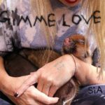 Sia Instagram - Hold on to your bobs & bows! Sia's new song "Gimme Love" is coming on September 13th ❤️ - Team Sia [image description: Sia's single cover for "Gimme Love" where she is holding a small pig]