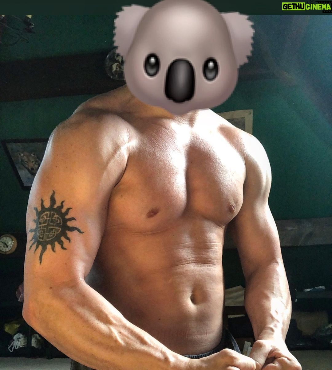 Simon Musk Instagram - Lockdown progression: ✅ Managed to get hold of some better equipment. ✅ Cut out 50-60g of carbs a day. ✅ Did more burpees in 6 weeks than in the last 6 years. ✅ Went to some very knowledgeable people for their advice (@joecoffey88, @fla_hayes, @lazarus_pt ) ✅ Sometimes had the head of a koala. Thanks to some very knowledgeable people for their help and input during this time! @joecoffey88, @fla_hayes, @lazarus_pt #wwe #ligero #nxtuk #fitness #lockdown #homeworkout #homeworkouts #athlete #wrestling #koala