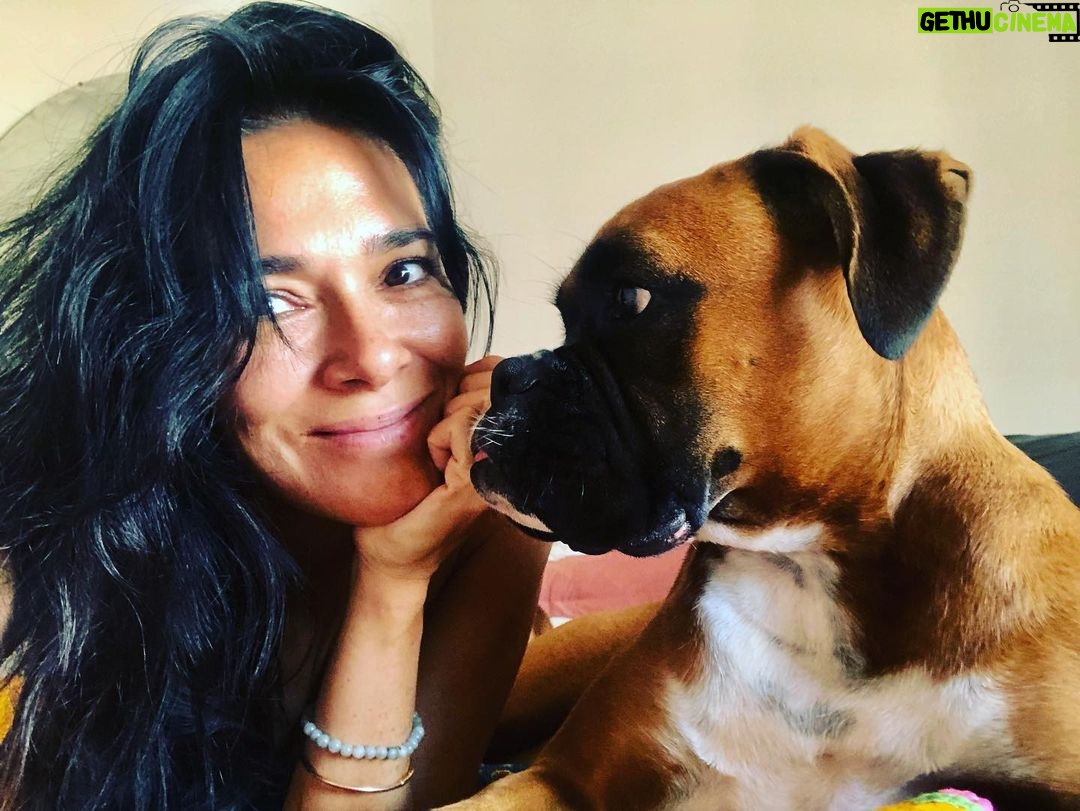 Simone Kessell Instagram - The love of a rescue dog 🤍#adoptdontshop #rescueanimals