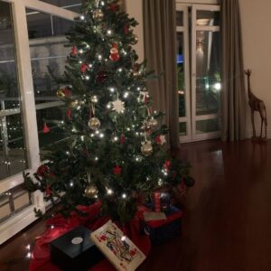 Sinem Kobal Instagram - 🌲✨