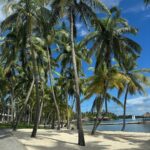 Sinem Kobal Instagram - Mauritius 🌴 sürprizli 💌 #ailealbümü One&Only Le Saint Géran