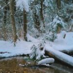 Siobhan Williams Instagram – Crossing my fingers for more snow before winter comes to a close.