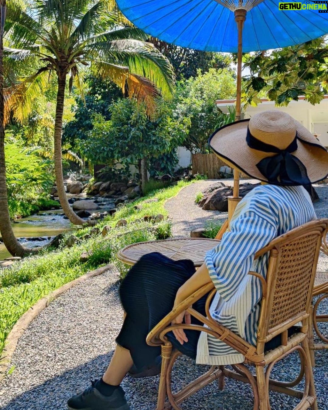 Siraphan Wattanajinda Instagram - กาง ( จ้อง ) เอง . นั่ง เอง . 🌿💚 แม่ริม เชียงใหม่