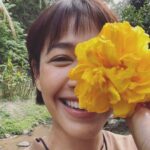 Siraphan Wattanajinda Instagram – เอาจริงแล้วน้าาาาาาา  ห่างกันไปไกลเพราะโควิดตั้งนาน  จะกลับมาเป็นชาวสวนแล้วเน้อเจ้าาาา 
.
จะคอยมา update อยู่เนืองๆนะเจ้า สำหรับสวน•ชวน•เรียน•รู้•ไป•ด้วย•กัน
.
#สวนsi Amphoe Mae Rim, Chiang Mai, Thailand