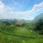 Siraphan Wattanajinda Instagram – 💚💚💚 98 Mae Ram Residence