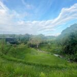 Siraphan Wattanajinda Instagram - 💚💚💚 98 Mae Ram Residence
