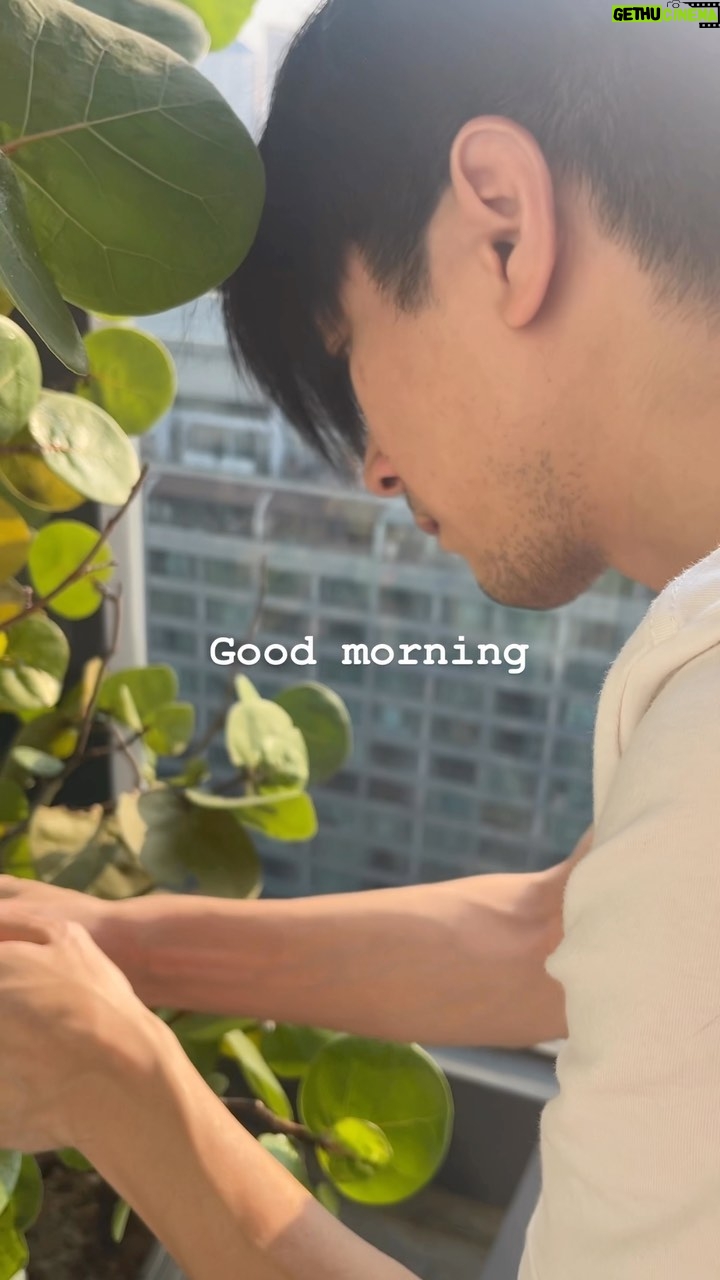 Siraphan Wattanajinda Instagram - 💚🌿