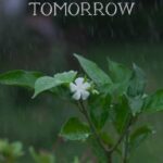 Siri Ravikumar Instagram - ಸ್ವಾತಿ ಮುತ್ತಿನ ಮಳೆ ಹನಿಯೇ ಟ್ರೈಲರ್ ನಾಳೆ ಸಂಜೆ 6:45 ರಂದು ಆನಂದ್ ಆಡಿಯೋ ಚಾನೆಲ್ ನಲ್ಲಿ Swathi Mutthina Male Haniye trailer releases tomorrow November 17 at 6.45 pm on Anand Audio #SMMHonNovember24 See You At The Movies 🍿 divyaspandana @rajbshetty @siriiravikumar @applebox.studios @lighterbuddhafilms #PraveenShriyan @midhunmuku @sync.cinema @balajimanohar @suryavasishta @rekhakudlig @jp.tuminad @snehassharma @gopalkrishna_dhruv karthik_krg @yogigraj @kabilanchelliah @sunayanasuresh @aanandaaudio @krgconnects @krgstudios