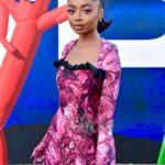 Skai Jackson Instagram - NOPE premiere 🌺 #STYLEDbyMonicaRose